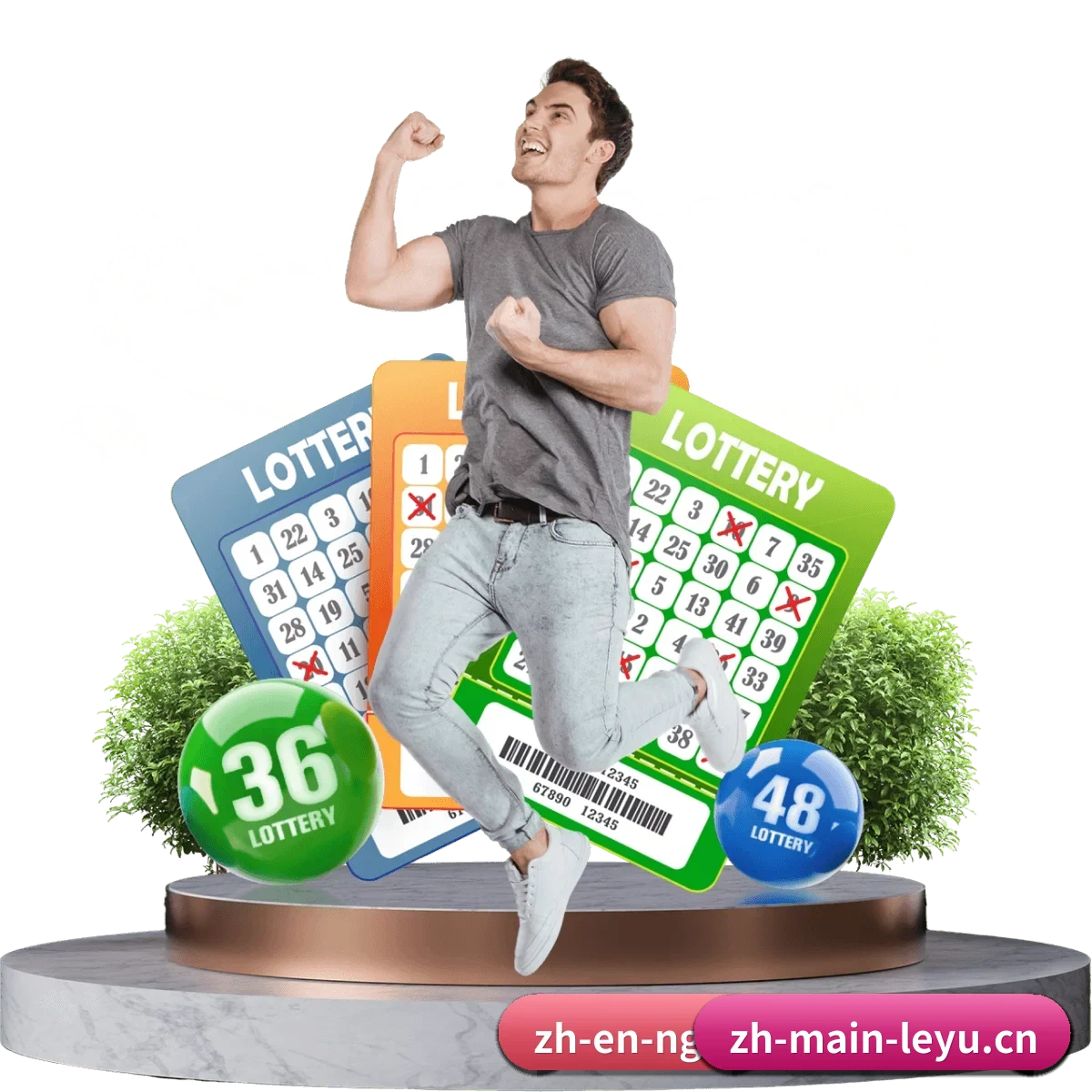 乐鱼体育 APP 界面